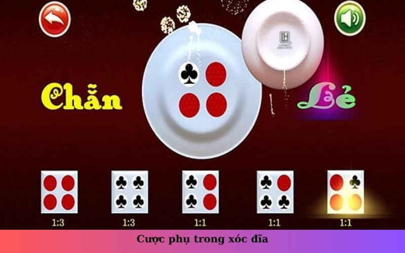 Cược phụ trong xóc đĩa